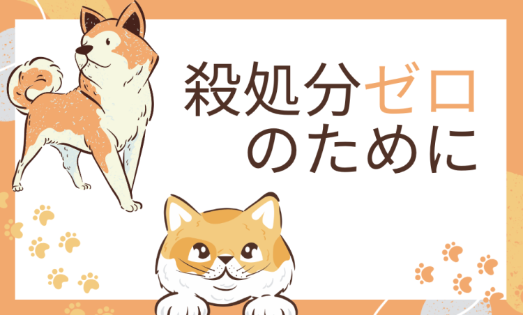 カワイイがいっぱい！ワンダーランド